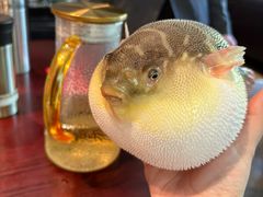 -永安鱼庄·镇江菜(东吴路店)