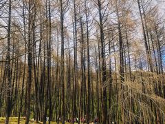 -硗碛藏寨·神木垒景区