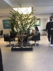 -付军剪艺JF ProSalon