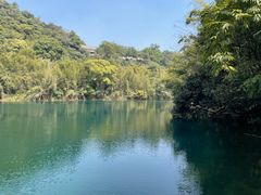 -鼎湖山风景区