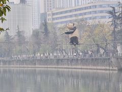 -成都市活水公园