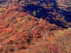 -水峪民俗村