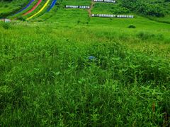 -南戴河国际娱乐中心