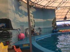 -尼莫海豚馆