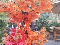 -后湖小院·乡野田园菜