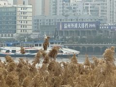 -江心屿景区