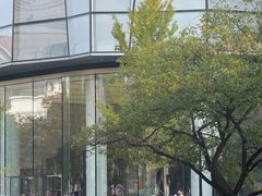-Apple零售店(济南恒隆广场店)