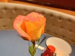 -栾氏荟(柳园店)