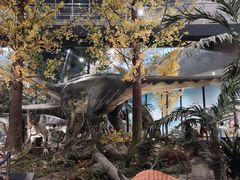 -湖南省地质博物馆