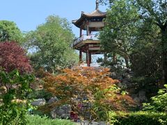 -莲花池公园