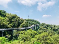 -金鸡山公园