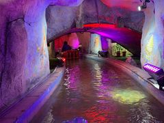 游乐设施-南宫五洲植物乐园