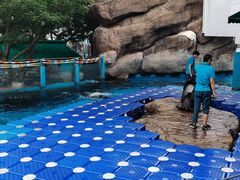 -海合安成都极地海洋公园