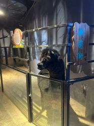 -酷嗒动物文化乐园(cutezoo西溪乐天城店)