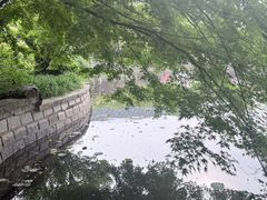 -嘉定紫藤园