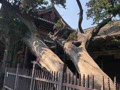 -晋祠公园