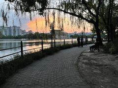 -朝阳公园游乐园