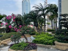 -科尔海悦酒店·柏顿花园餐厅(清河东路店)