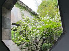 -惠山古镇·寄畅园