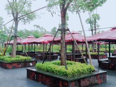 -春花秋色城市公园