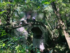 -青龙山国家森林公园