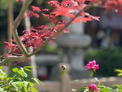 -龙华寺