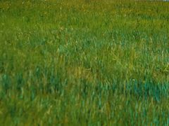 -呼和诺尔旅游景区