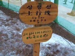 -帽儿山国家森林公园