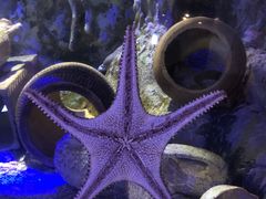 -正佳极地海洋世界