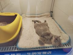 -1013 PET SHOP 宠物商店(近铁城市广场店)