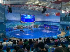 -多彩贵州城极地海洋世界