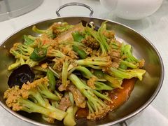 -双井轩(双井店)