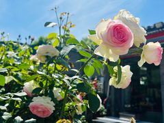 -张记焖窑·十五年专注焖烤(雍和宫店)