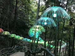-石燕湖生态旅游景区