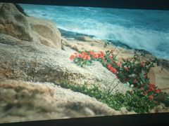 -奥斯卡西元国际影城(4K激光巨幕&杜比全景声沙发座椅)