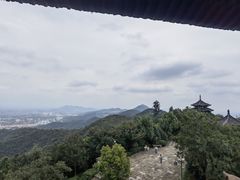 -杭州半山国家森林公园