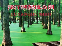-渌洋湖湿地公园