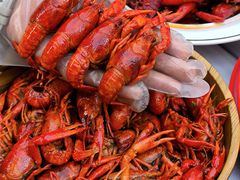 -波锅卤虾·王牌卤虾(汉阳店)