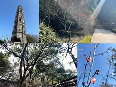 -上海佘山国家森林公园天马山园