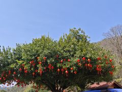 -九乡旅游区