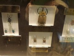 android_upload_pic-上海昆虫博物馆