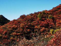 -水峪民俗村