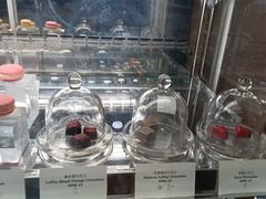 -The Lounge大堂酒廊·咖啡·沙拉·下午茶(金茂深圳JW万豪酒店)