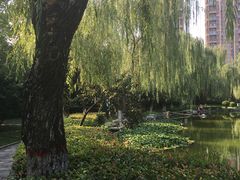 -木塔寺遗址生态公园
