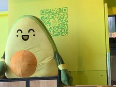 -油梨树AVOCADO TREE(望京店)