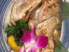 盐烧章红鱼头-友壹町寿司(嘉洲广场店)