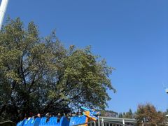 -盈香心动乐园
