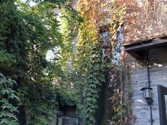 -出走咖啡·面包(宋庄店)