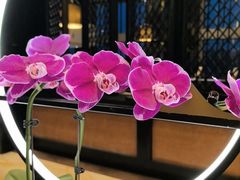 -天目湖涵田度假村