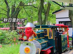 -上海共青森林公园